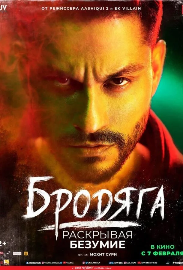 Бродяга: Раскрывая безумие смотреть онлайн бесплатно в хорошем качестве