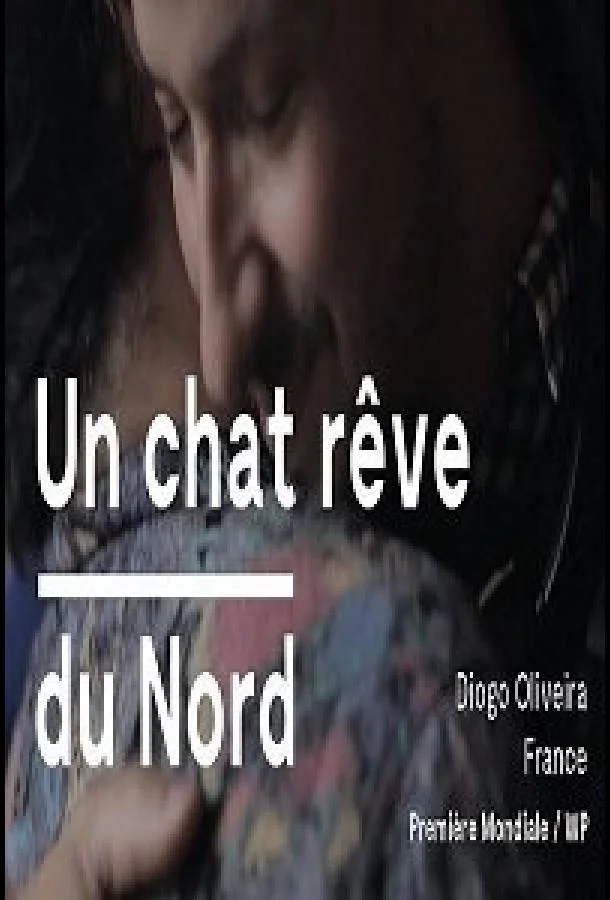 Кот, мечтающий о севере смотреть онлайн бесплатно в хорошем качестве