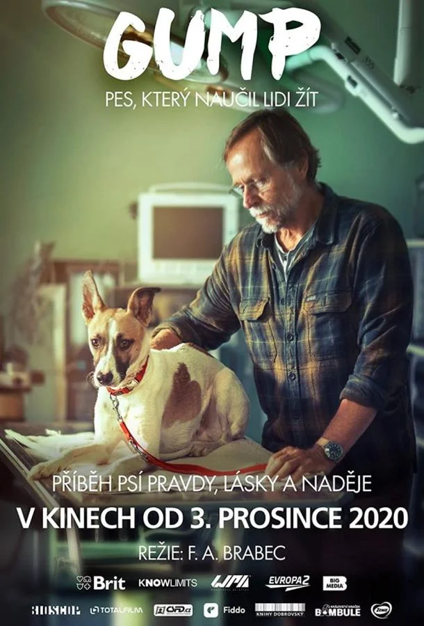 Невероятные приключения Гампи смотреть онлайн бесплатно в хорошем качестве