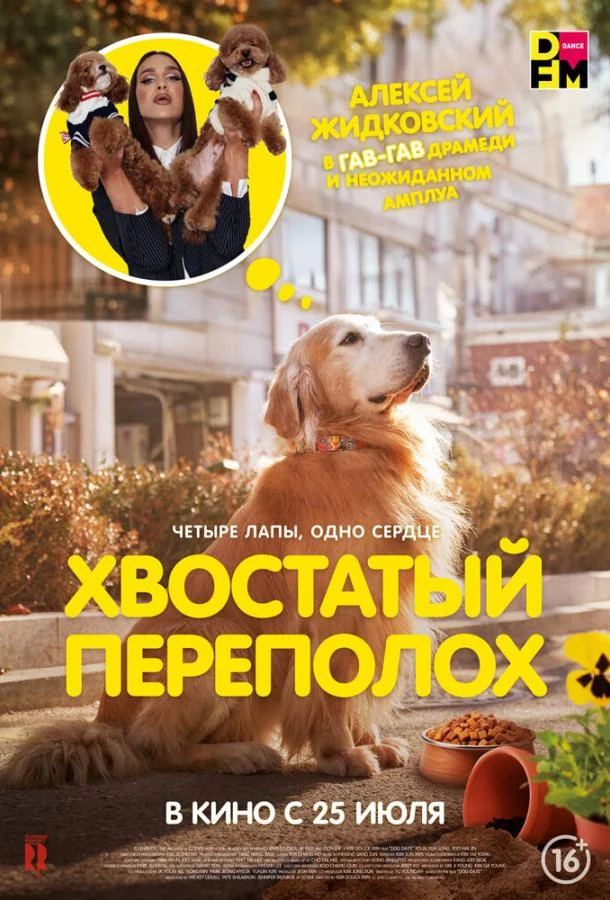 Хвостатый переполох смотреть онлайн бесплатно в хорошем качестве