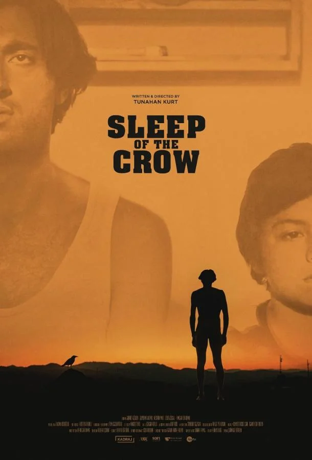 Сон ворона смотреть онлайн бесплатно в хорошем качестве