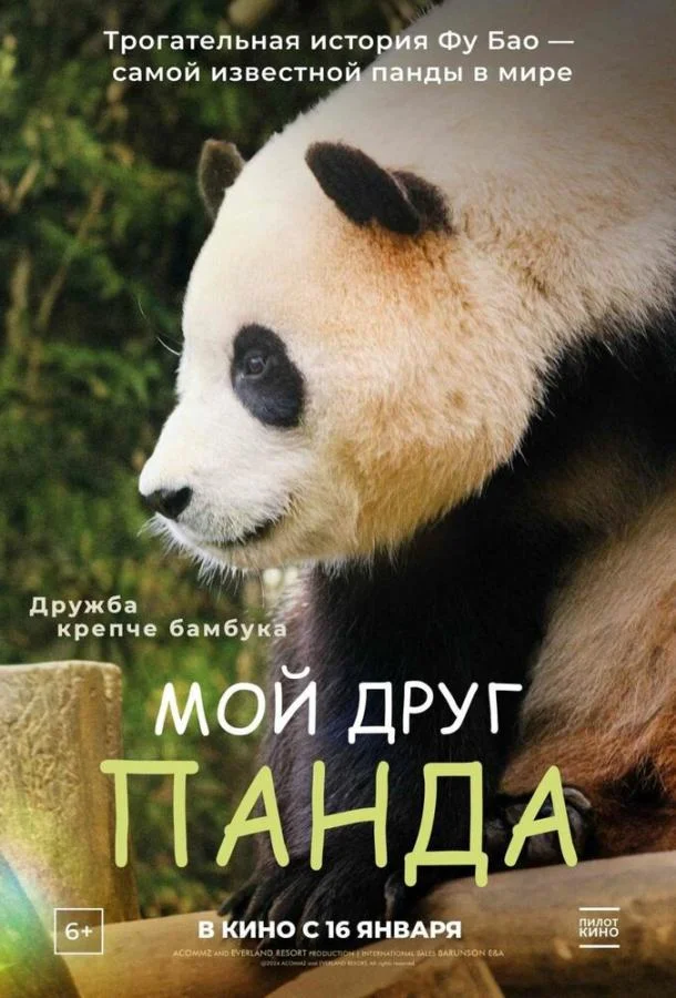 Мой друг панда смотреть онлайн бесплатно в хорошем качестве