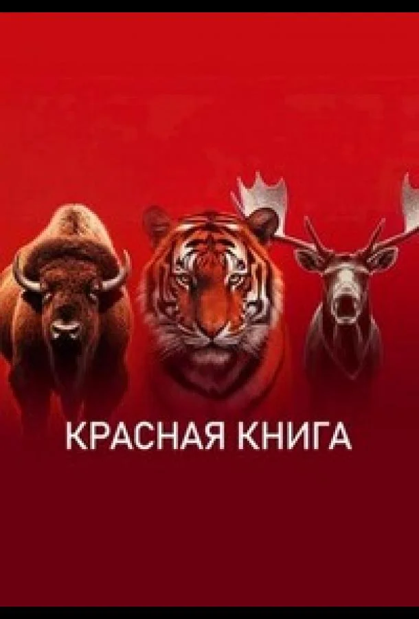 Красная книга смотреть онлайн бесплатно в хорошем качестве