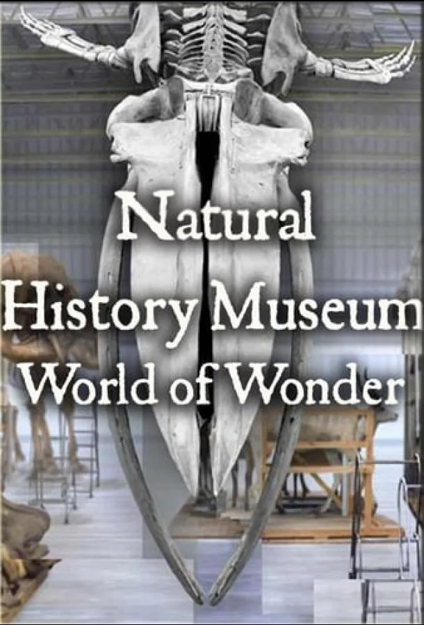 Natural History Museum: World of Wonder смотреть онлайн бесплатно в хорошем качестве