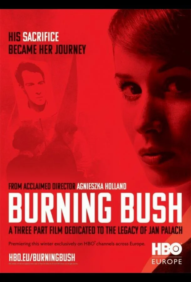 Неопалимая купина смотреть онлайн бесплатно в хорошем качестве