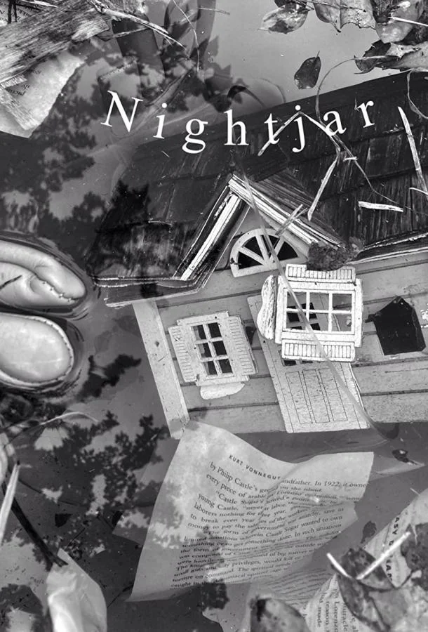 Козодой смотреть онлайн бесплатно в хорошем качестве