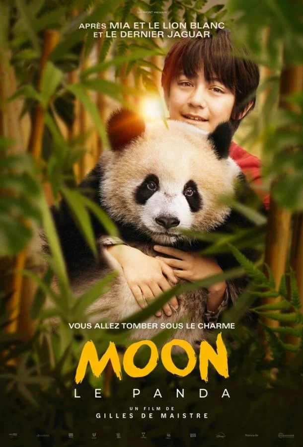 Моя панда смотреть онлайн бесплатно в хорошем качестве