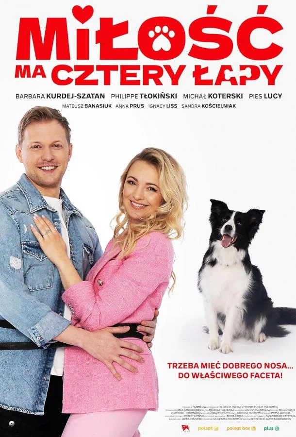 У любви четыре лапы смотреть онлайн бесплатно в хорошем качестве