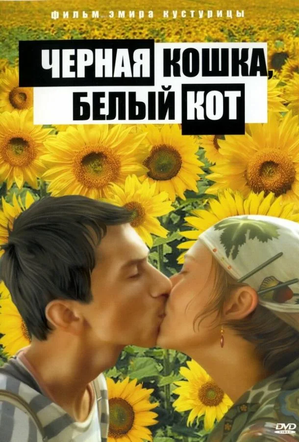 Черная кошка, белый кот смотреть онлайн бесплатно в хорошем качестве