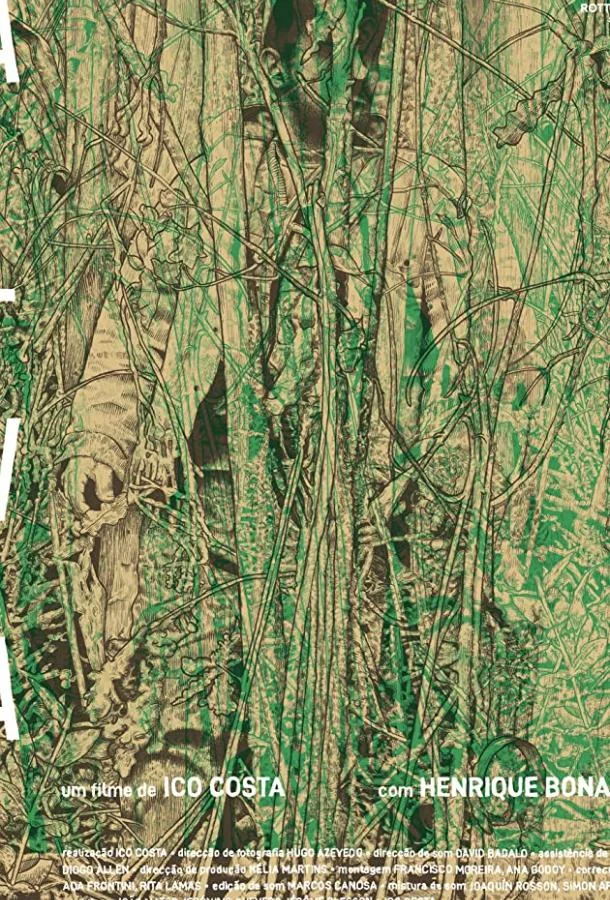 Рассвет смотреть онлайн бесплатно в хорошем качестве