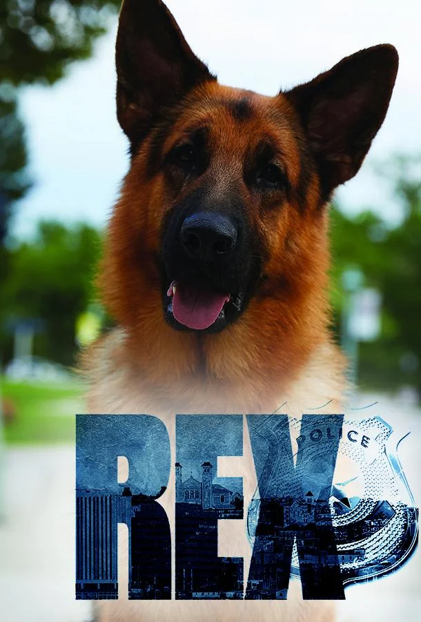 Хадсон и Рекс смотреть онлайн бесплатно в хорошем качестве