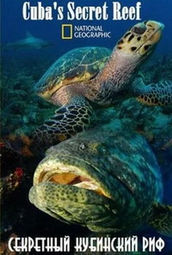 National Geographic. Секретный кубинский риф смотреть онлайн бесплатно в хорошем качестве