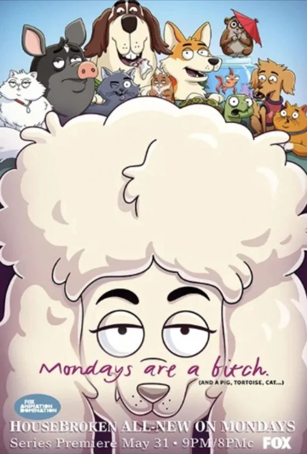 К лотку приучены 1-2 сезон смотреть онлайн бесплатно в хорошем качестве