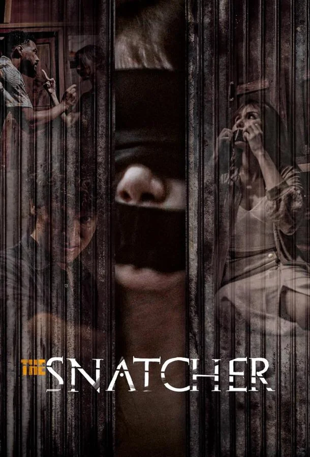 Похититель смотреть онлайн бесплатно в хорошем качестве